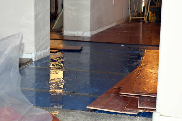 Professional Emergency Water Damage Restoration technician working in Reasnor, IA